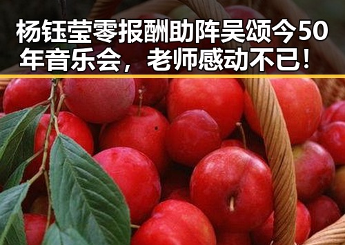 杨钰莹零报酬助阵吴颂今50年音乐会，老师感动不已！