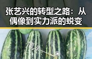 张艺兴的转型之路：从偶像到实力派的蜕变