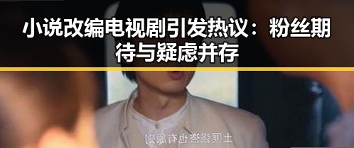 小说改编电视剧引发热议：粉丝期待与疑虑并存
